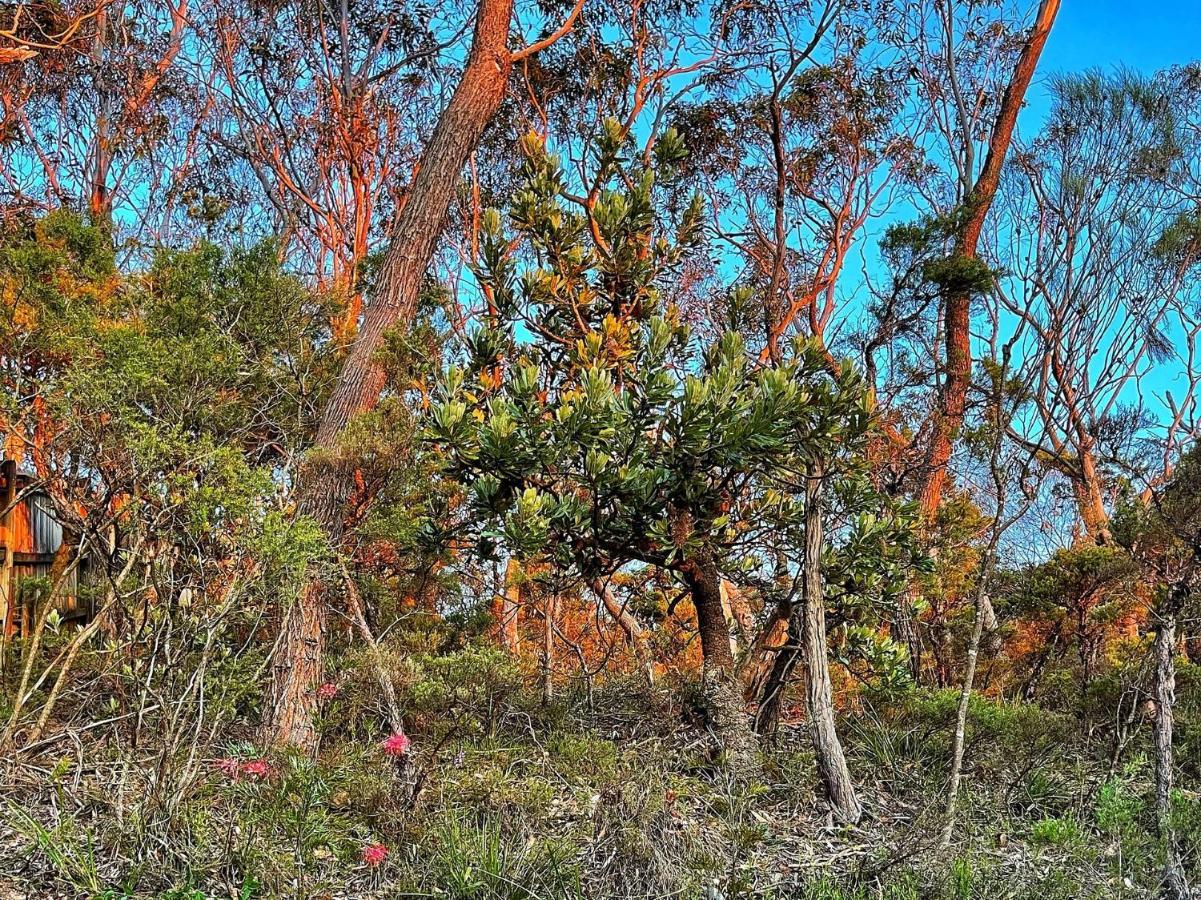 קטומבה Emerald View מראה חיצוני תמונה